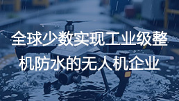 方寸達(dá)派瑞林