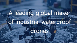 方寸達(dá)派瑞林